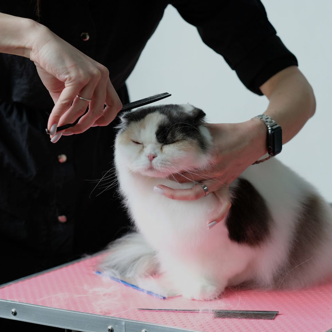 placeholder image box