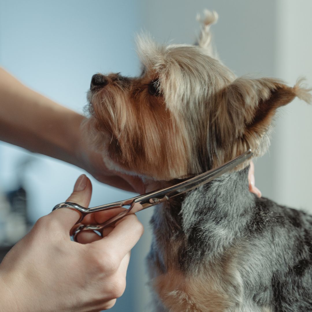 placeholder image box